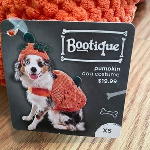 Halloween Pumpkin costume for xs dog